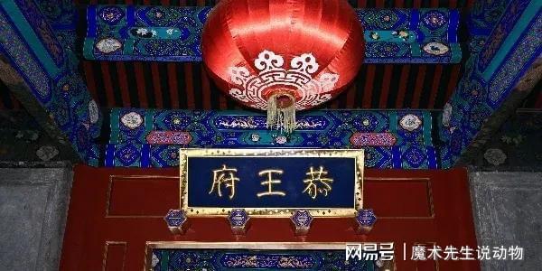 龄入住醇亲王府冰球突破宋庆
