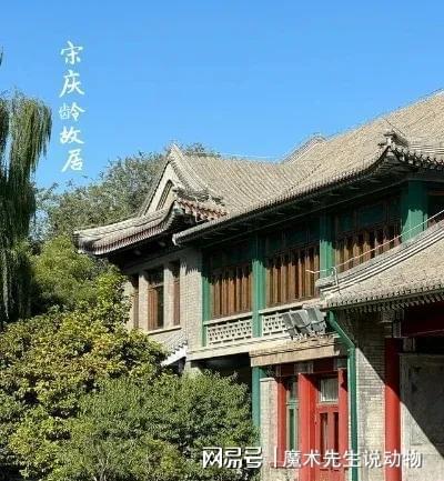 龄入住醇亲王府冰球突破宋庆(图4)