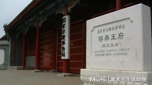 龄入住醇亲王府冰球突破宋庆(图3)