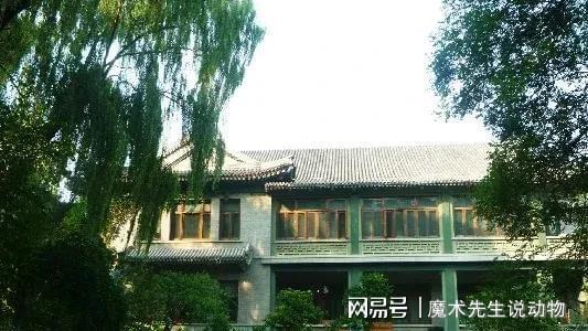 龄入住醇亲王府冰球突破宋庆(图5)