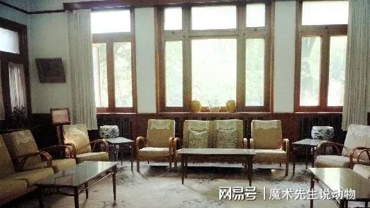 龄入住醇亲王府冰球突破宋庆(图2)